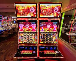 3666bet11